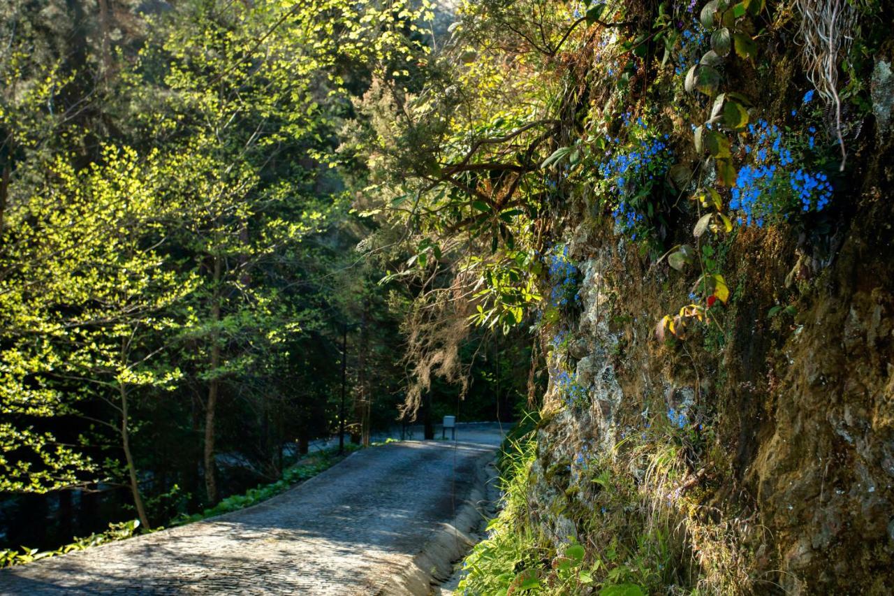 Hancioglu Orman Evleri  Trabzon Exterior foto