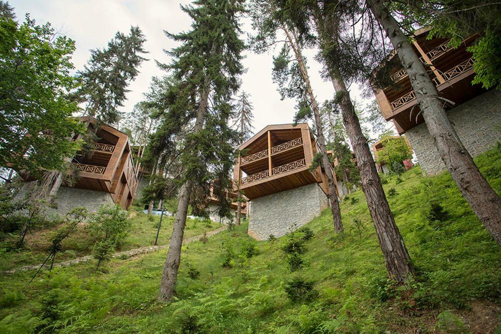 Hancioglu Orman Evleri  Trabzon Exterior foto