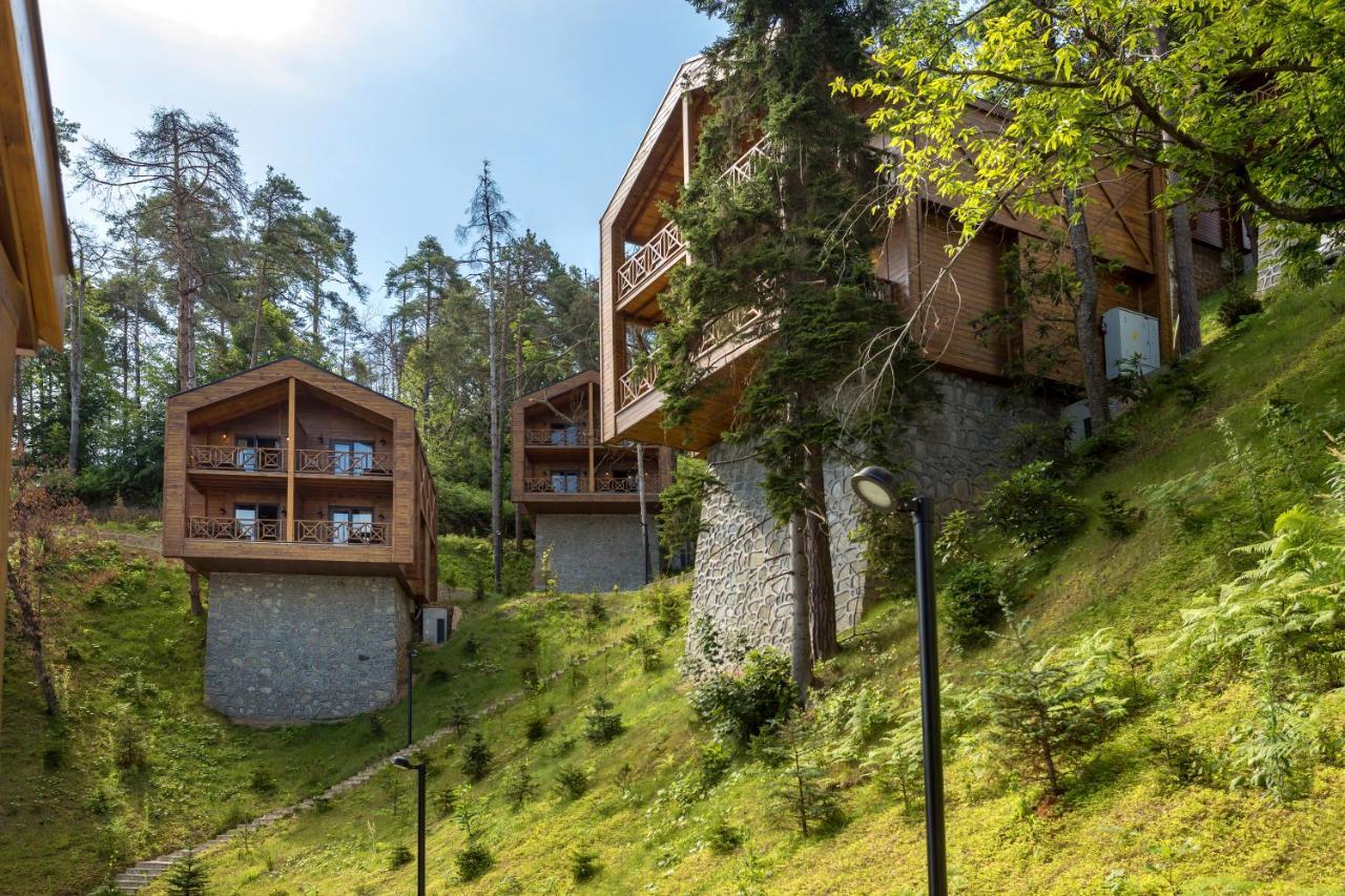 Hancioglu Orman Evleri  Trabzon Exterior foto